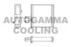 AUTOGAMMA 102428 Heat Exchanger, interior heating